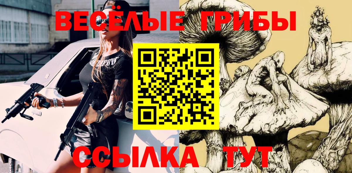 Псилоцибиновые грибы Psilocybine cubensis Борисоглебск