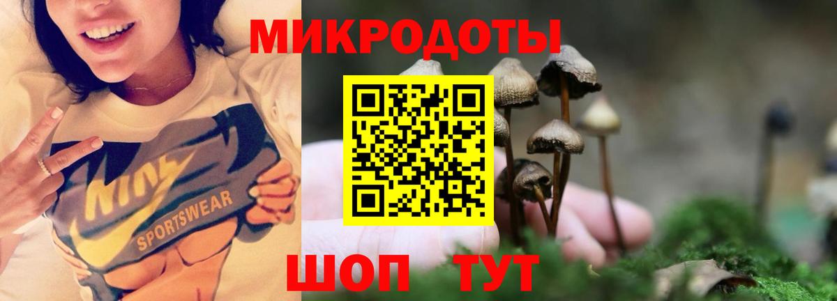 Псилоцибиновые грибы мицелий  Вход с VPN  Борисоглебск  Галлюциногенные грибы Psilocybe 